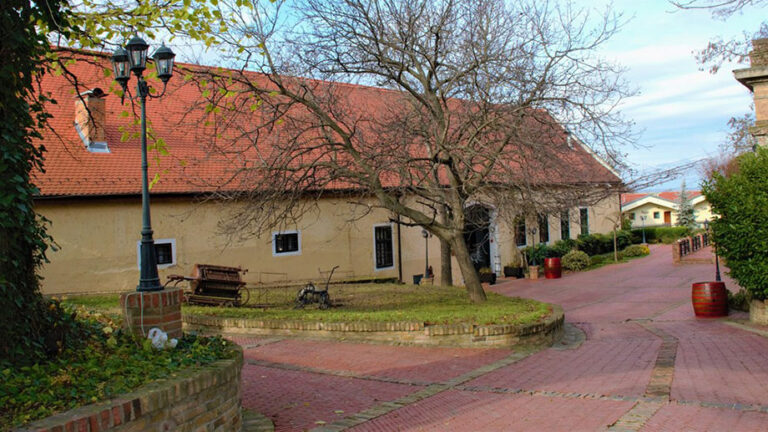 Iločka berba