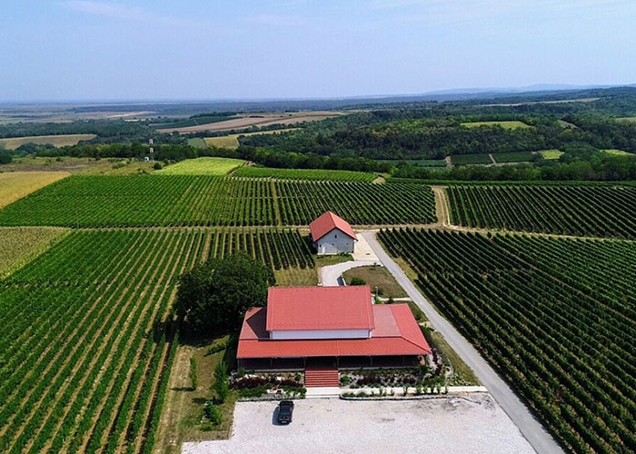 vinarija-papak-1m